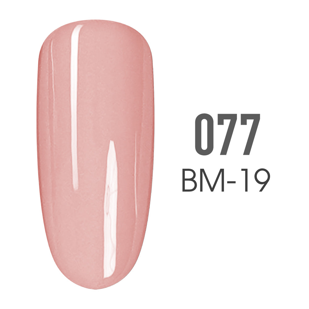 SNS Pro - Burgundy Book Collection - #077