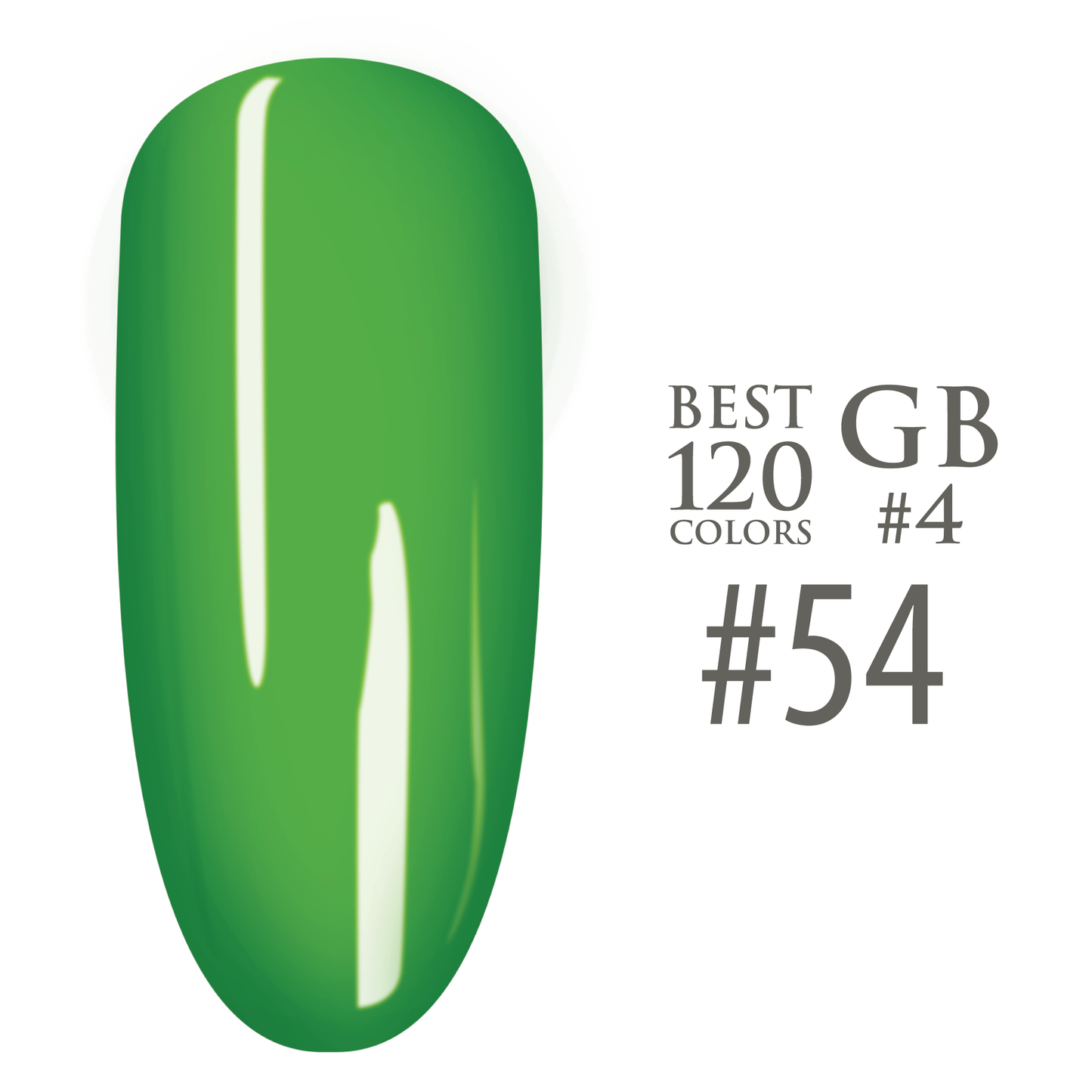 SNS Pro - Yellow Green Book Collection - #054