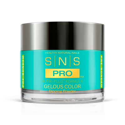 SNS Pro - Burgundy Book Collection - Dipping Powder - #101