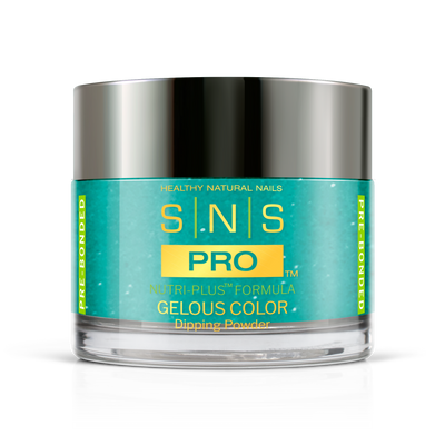 SNS Pro - Burgundy Book Collection - Dipping Powder - #018
