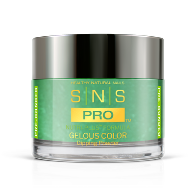 SNS Pro - Yellow Green Book Collection - Dip/Acrylic/No Activator Required Powder Powder - #119