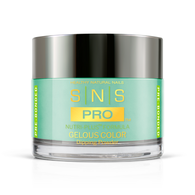 SNS Pro - Burgundy Book Collection - Dipping Powder - #108