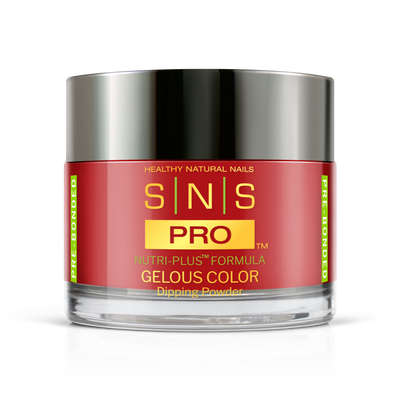 SNS Pro - Burgundy Book Collection - Dipping Powder - #045