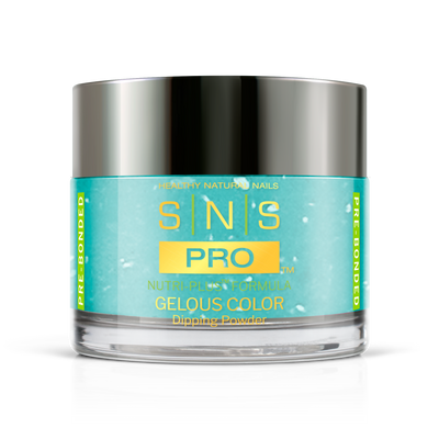 SNS Pro - Burgundy Book Collection - Dipping Powder - #027