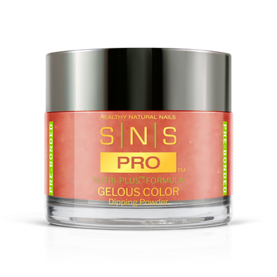 SNS Pro - Beige Book Collection - Dipping Powder - #106