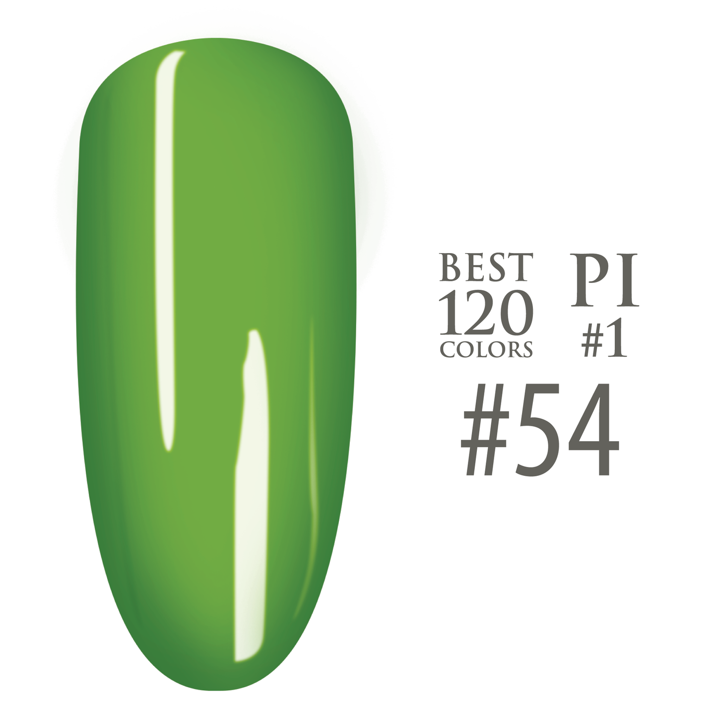 SNS Pro - Green Book Collection - #054