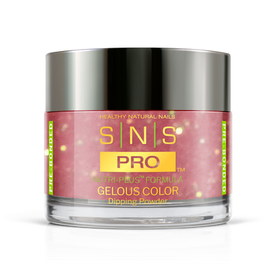 SNS Pro - Burgundy Book Collection - Dipping Powder - #063