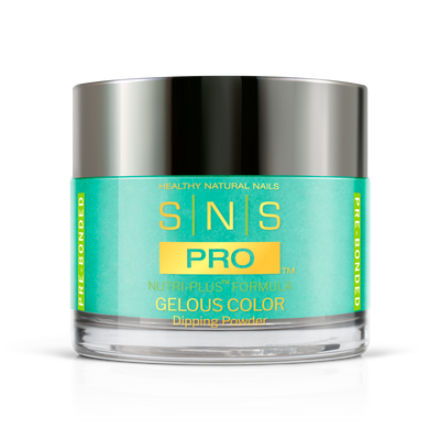SNS Pro - Burgundy Book Collection - Dipping Powder - #028