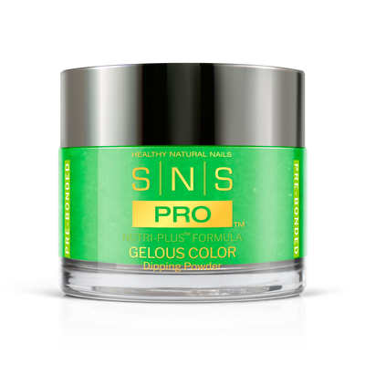 SNS Pro - Burgundy Book Collection - Dipping Powder - #021