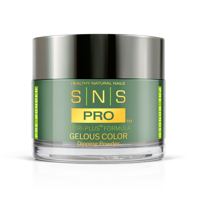 SNS Pro - Beige Book Collection - Dipping Powder - #113
