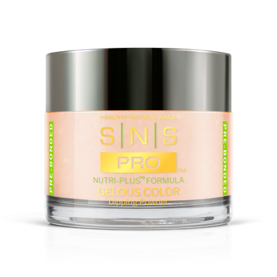SNS Pro - Burgundy Book Collection - Dipping Powder - #002