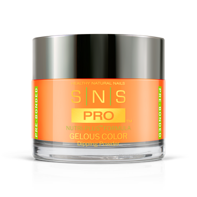SNS Pro - Burgundy Book Collection - Dipping Powder - #111