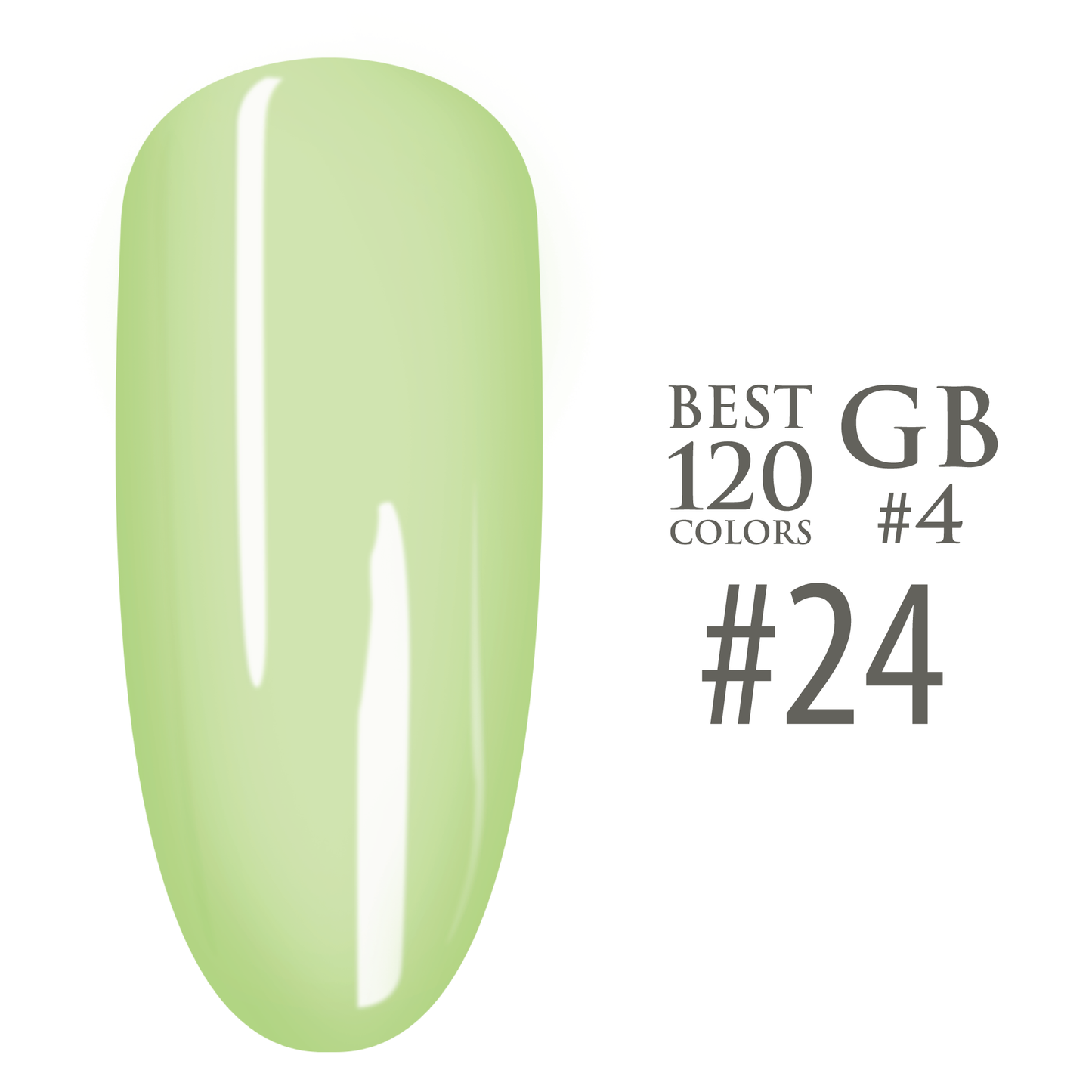SNS Pro - Yellow Green Book Collection - #024
