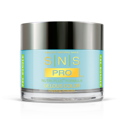 SNS Pro - Burgundy Book Collection - Dipping Powder - #097